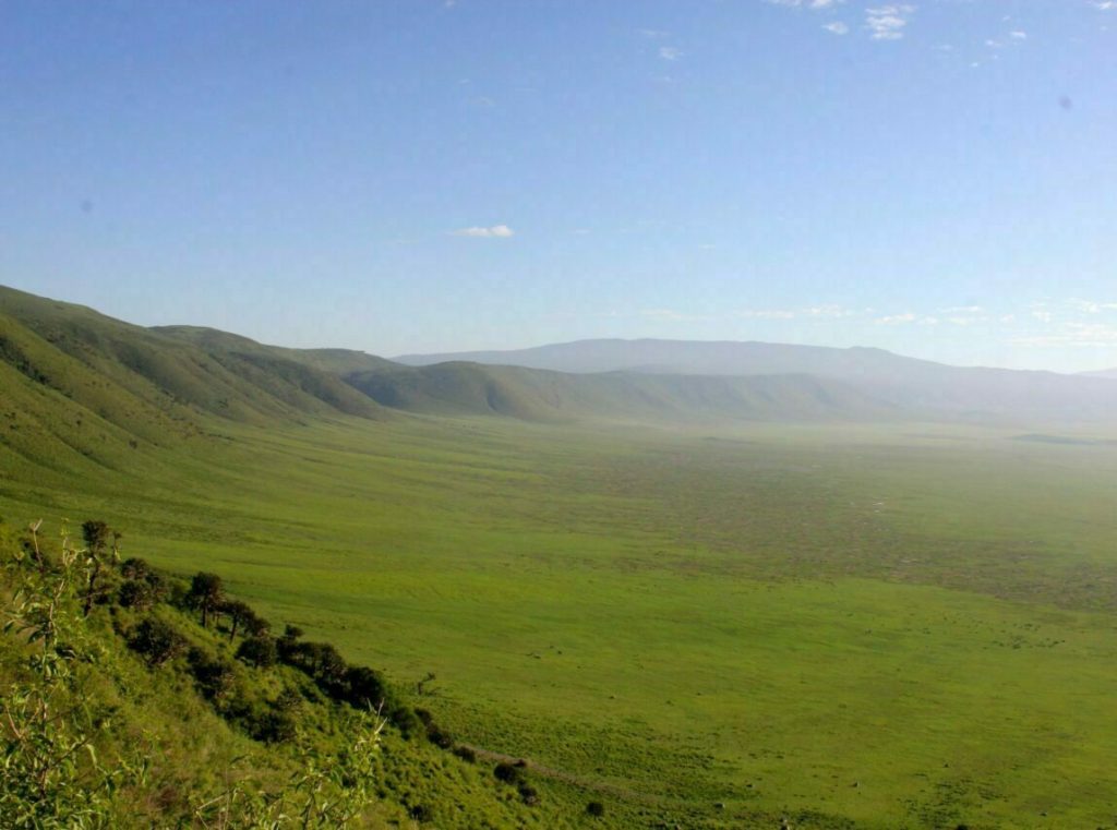 Ngorongoro Crater Safari