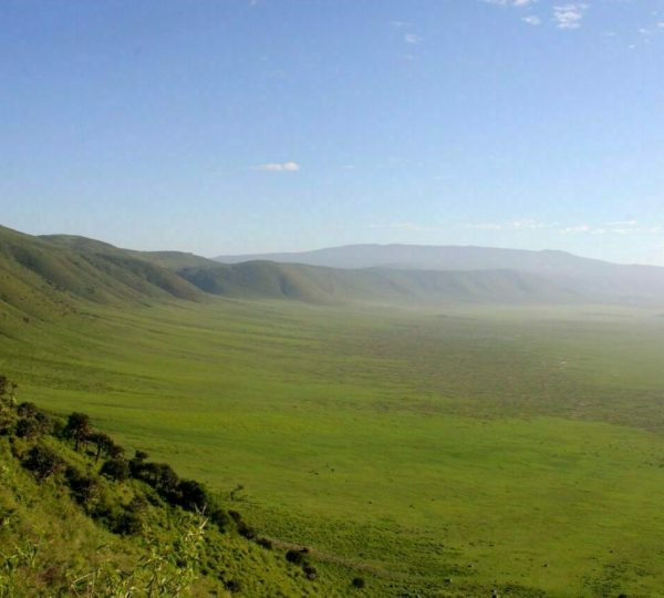 Safari Krater Ngorongoro