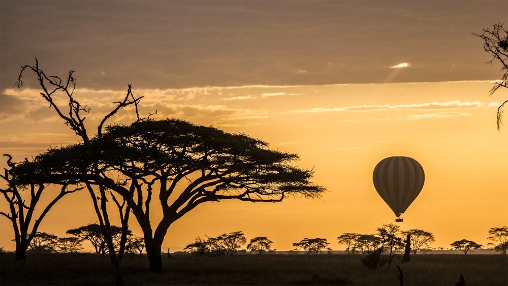 The Serengeti National Park, Tanzania's top attraction