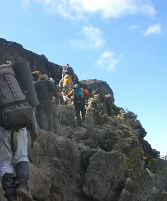 Group Kilimanjaro Trek via the Machame Route