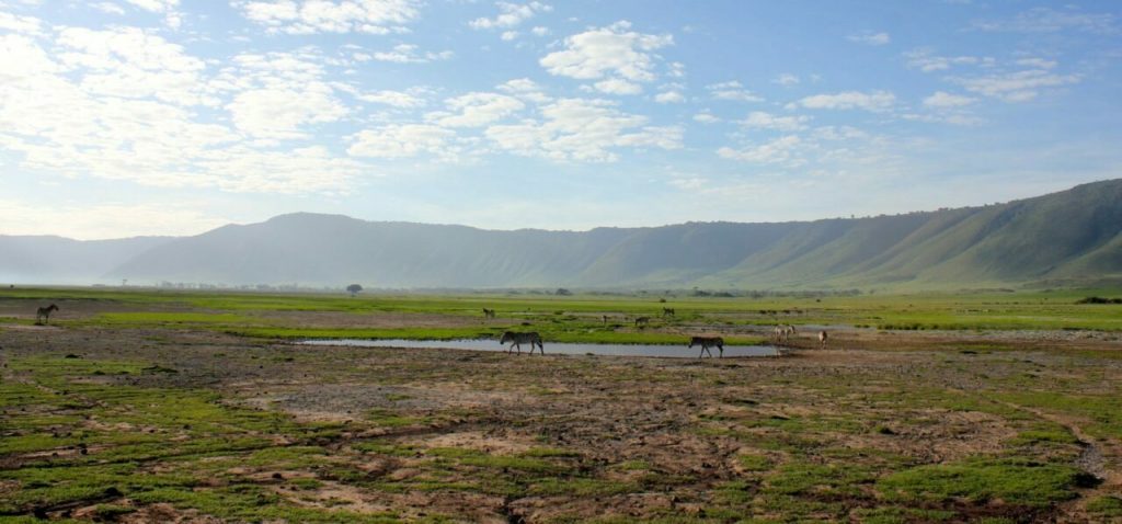 Ngorongoro Crater