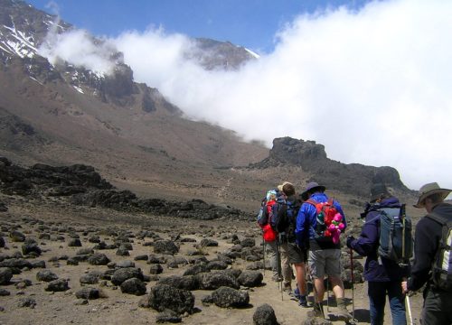 Marangu Route Kilimanjaro Ascent