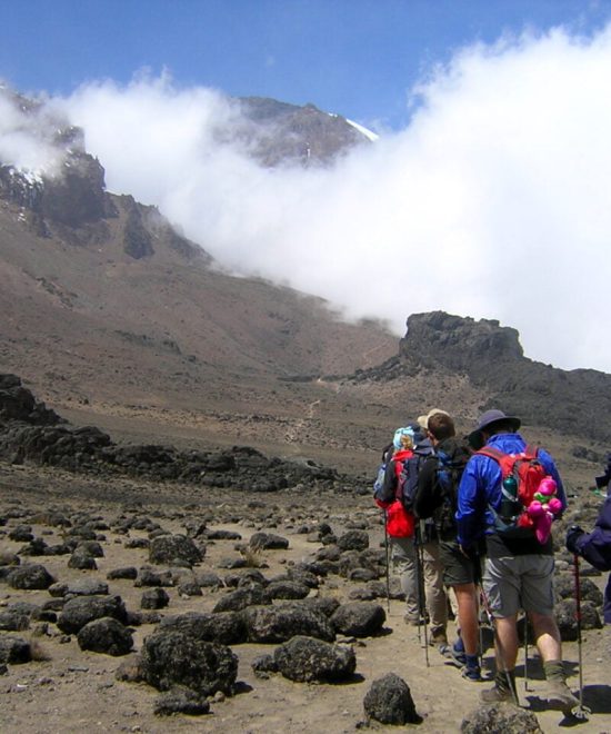 Marangu Route Kilimanjaro Ascent