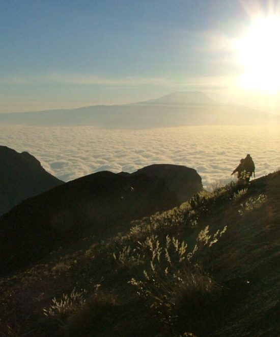 Trekking kilimandjaro guide