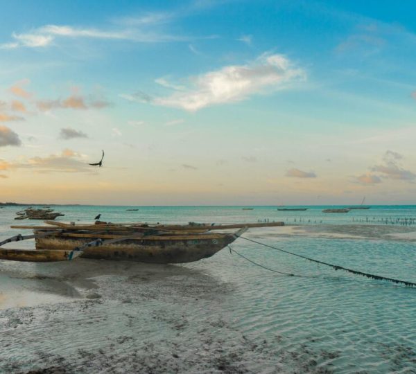 Zanzibar Pemba Reise