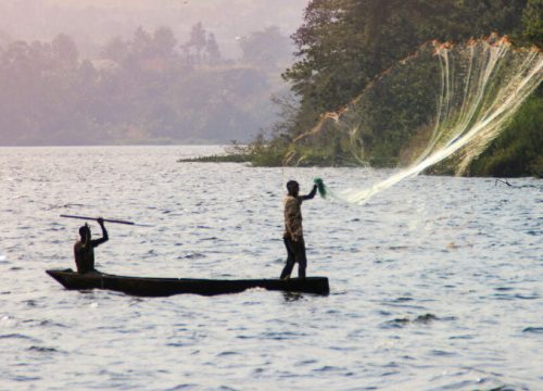 What are the lakes of the East African Rift?