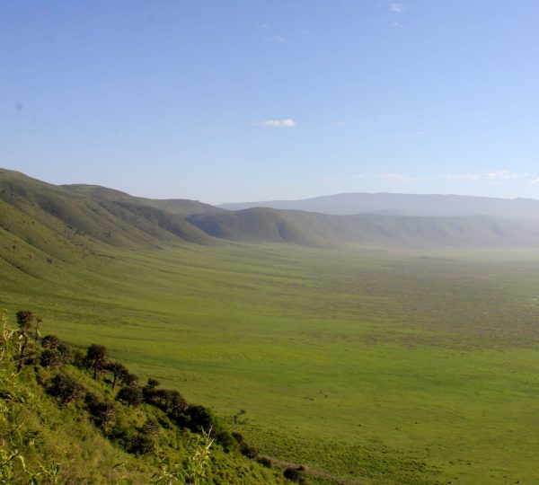 Ngorongoro 1