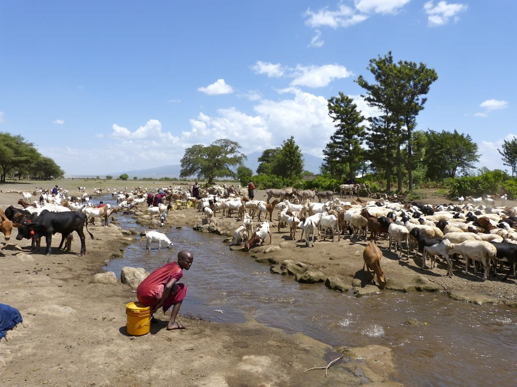 Von der Serengeti bis zur Maasai Natron Region von Natron