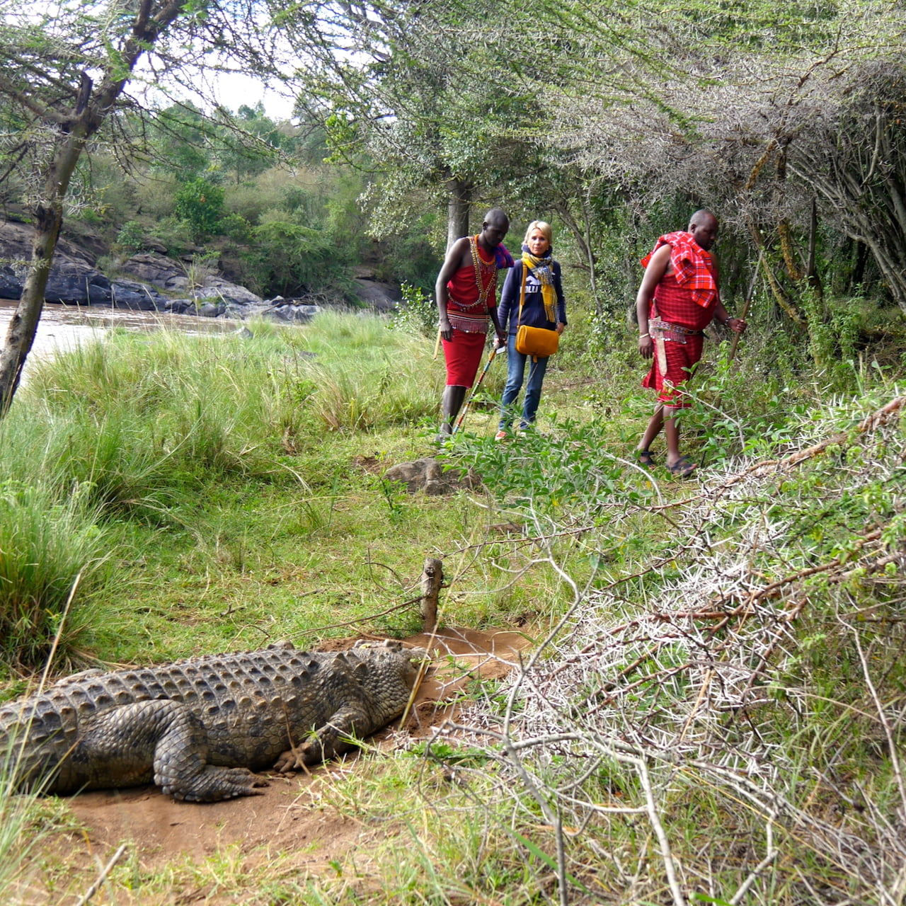 Walking safari