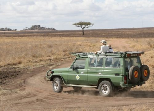 When to go to Tanzania to visit the Serengeti?