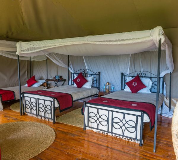 Ngorongoro Forest Tented Lodge triple room