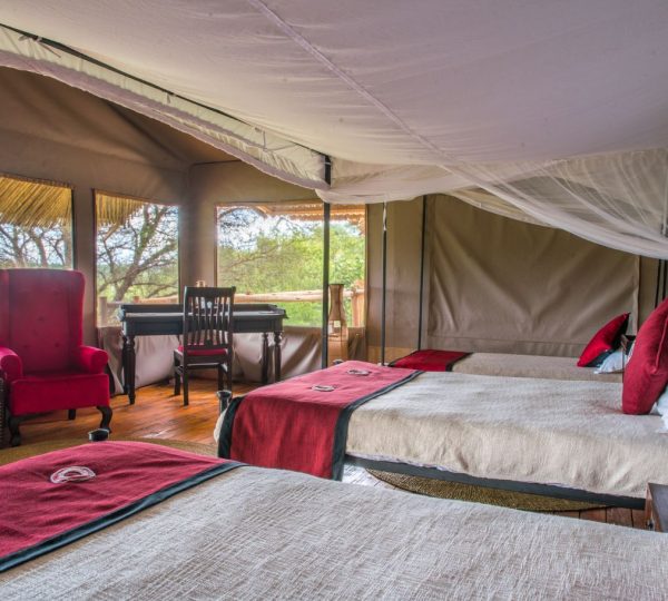 Ngorongoro Forest Tented Lodge triple room