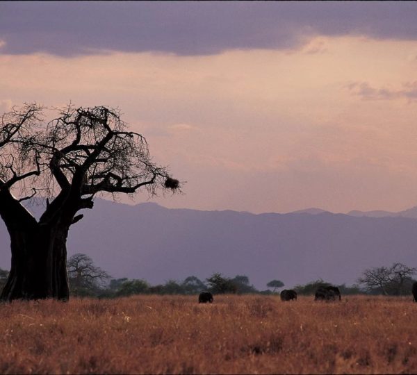 Closest to nature