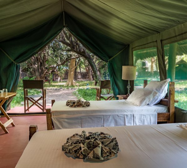 Twin room