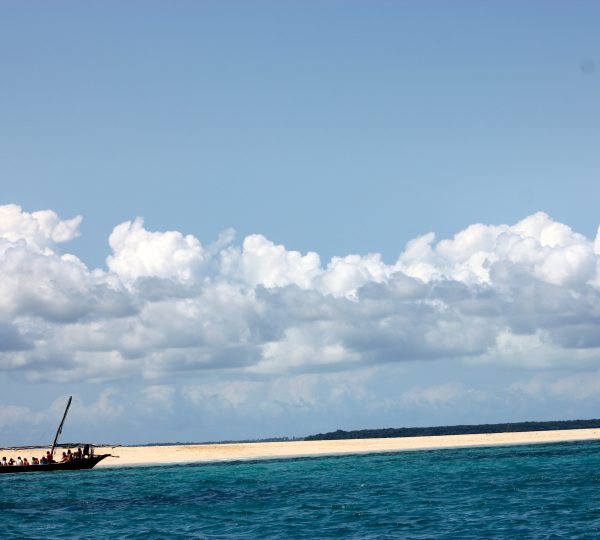 Boat tour