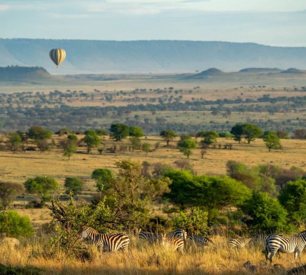 Hot air balloon