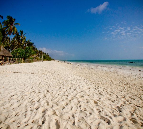 The beach