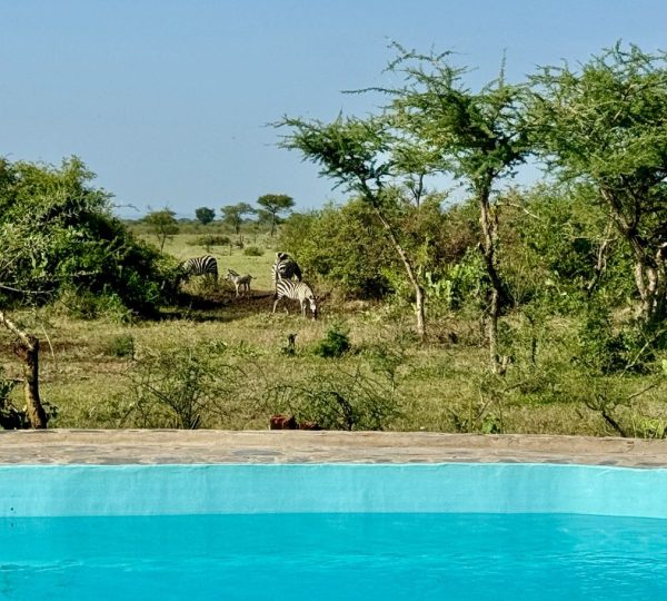 Robanda Tented Camp Tanzanie Serengeti