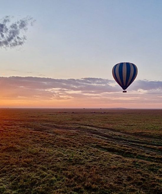 Hot air balloon