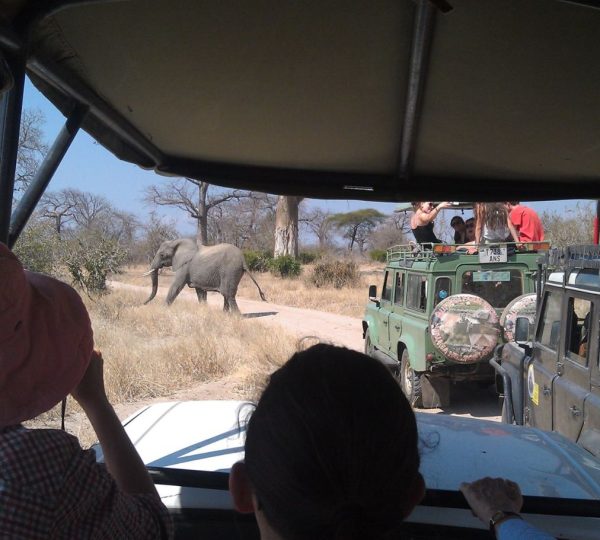 Safari 4x4