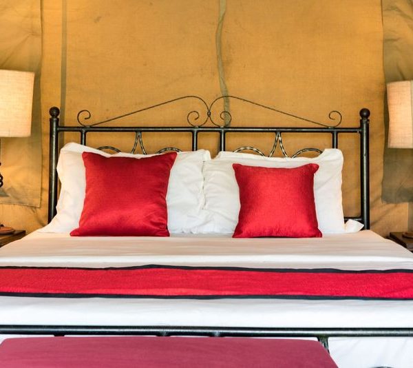 Serengeti Wildlands Mobile Camp triple room