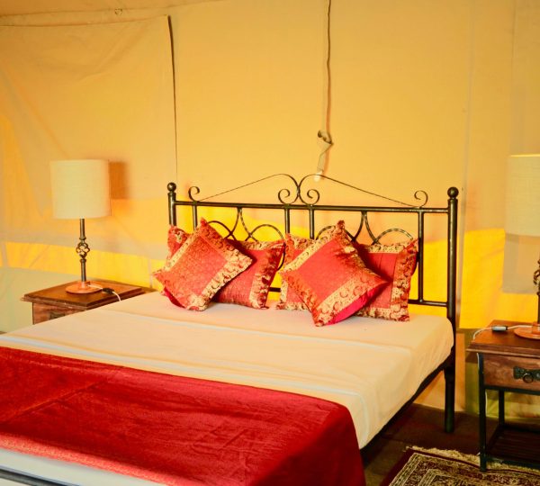 Comfortable room