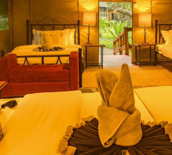 Triple room