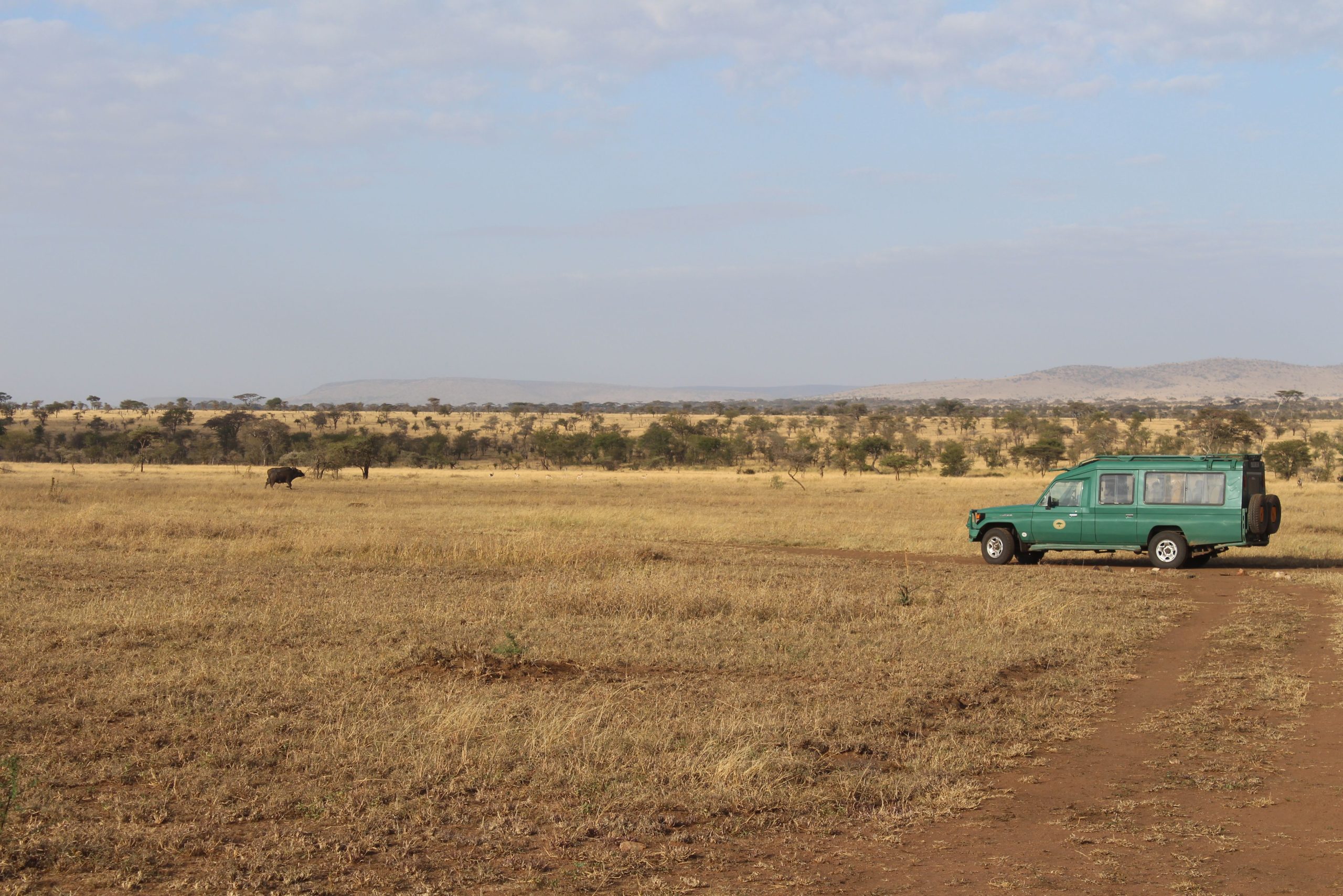 Safari 4x4 Tanzanie