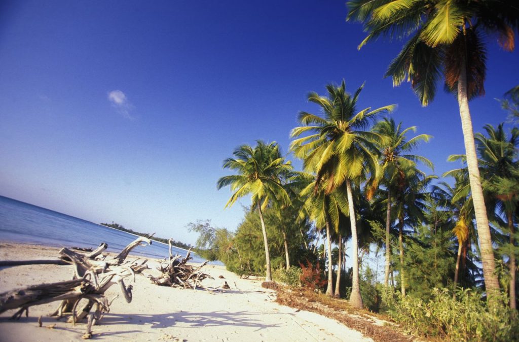 Michamvi Beach in Zanzibar
