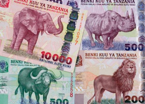 What tip should you budget for during your stay in Zanzibar?