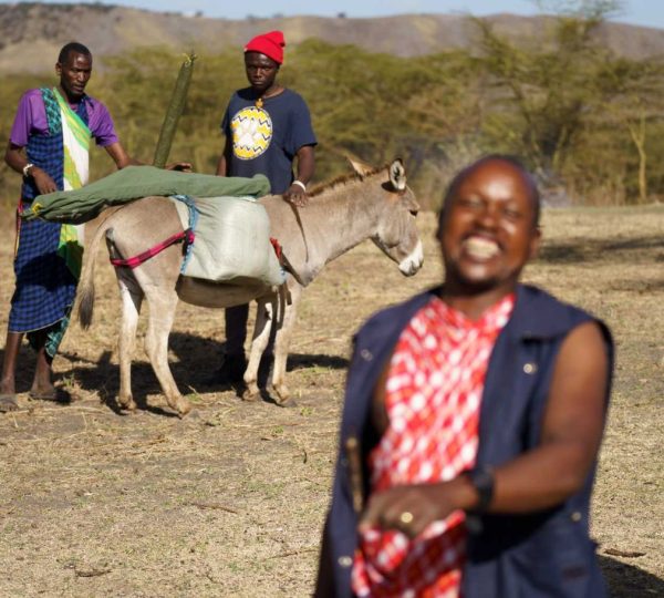 Ane serengeti
