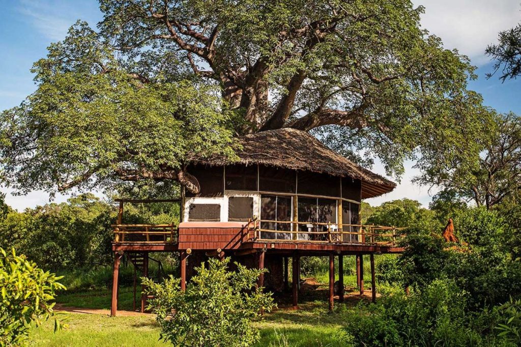 Accommodation in the trees Tarangire Treetops Tanzania