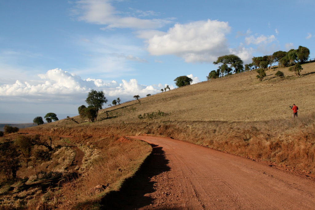 Serengeti dry season