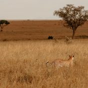 When should you travel to Tanzania?