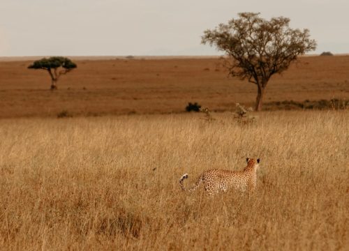When to go to Tanzania