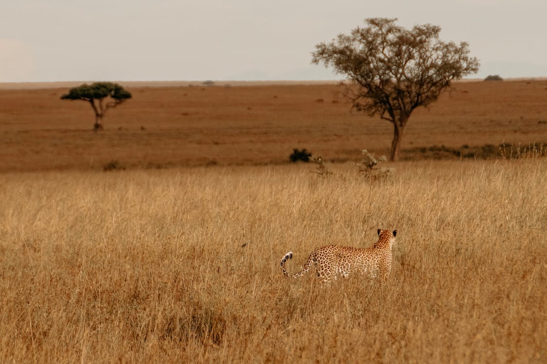 When should you travel to Tanzania?