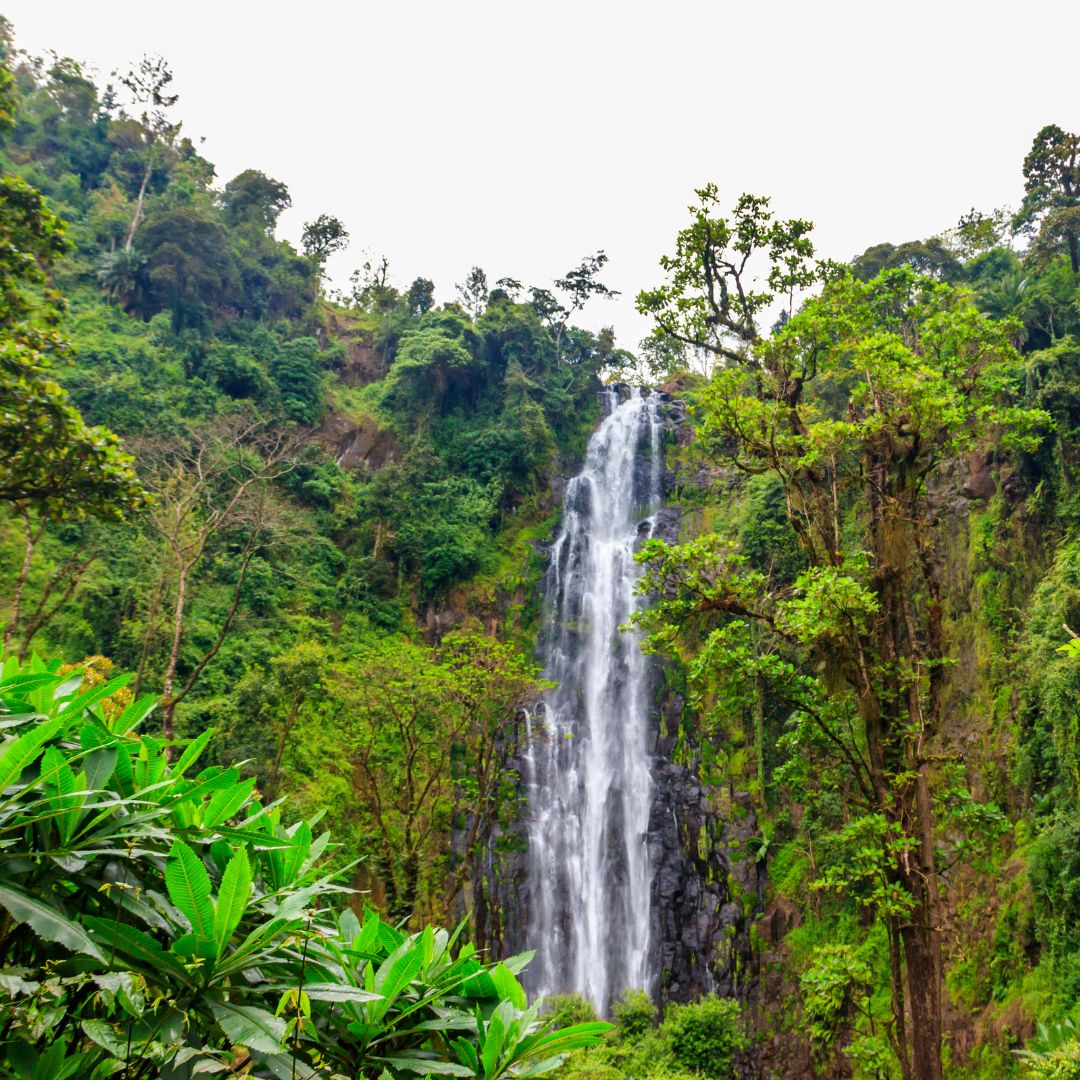 Materuni Falls
