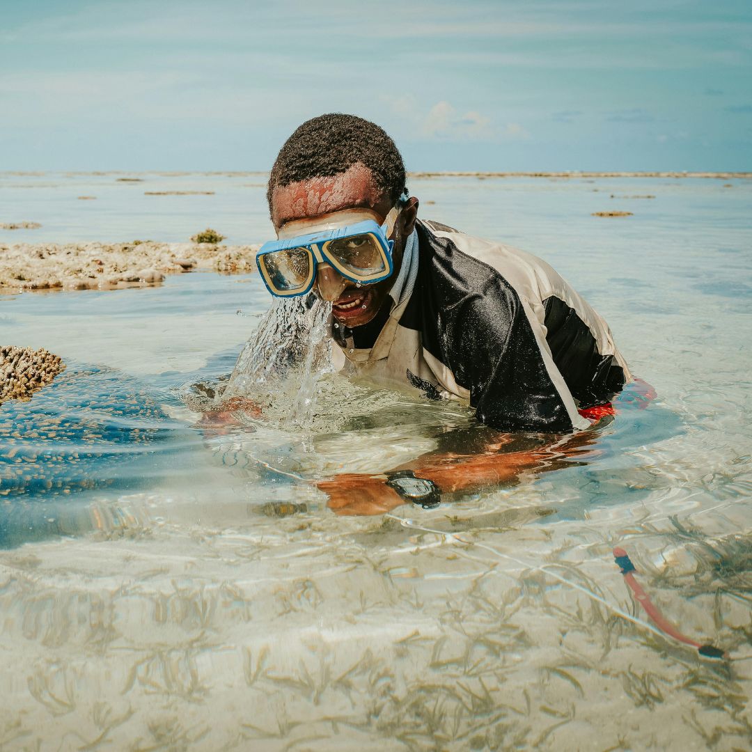 Diving and Snorkelling in Tanzania