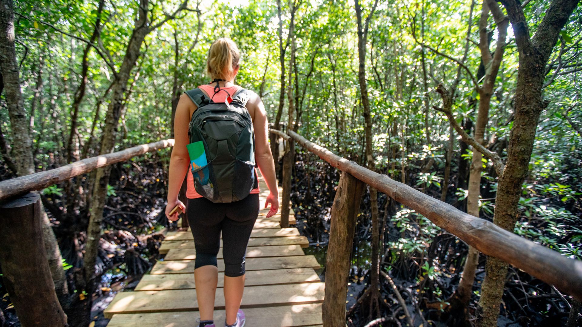 Hike in Jozani Forest