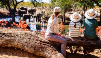 Family Safari in Tanzania