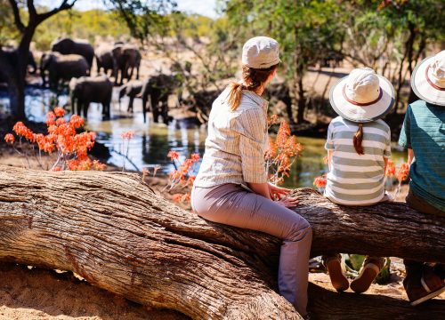 Family Safari in Tanzania