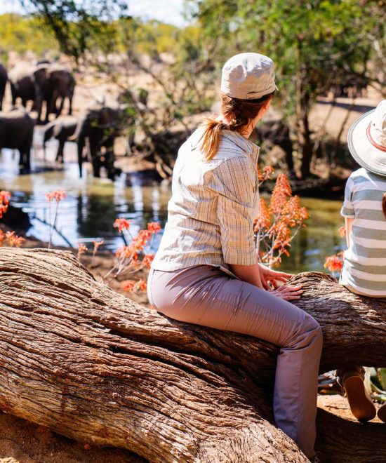 Family Safari in Tanzania