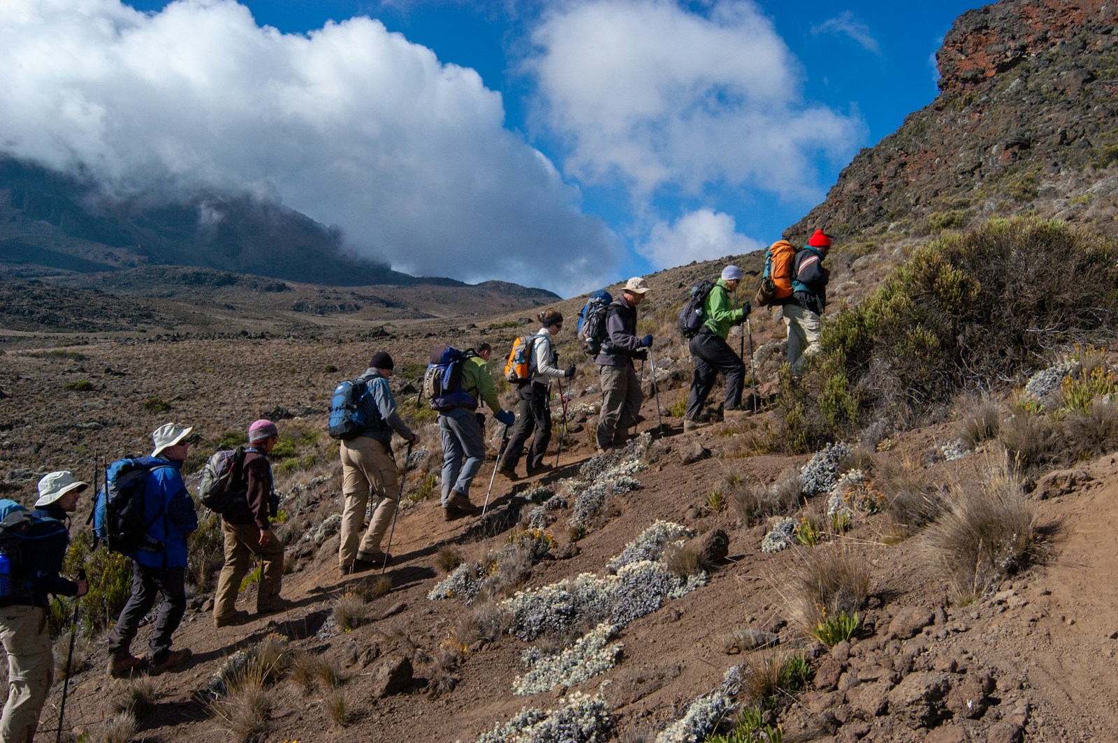 Trekking Kilimanjaro