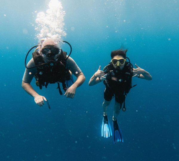 Diving Zanzibar underwater diving