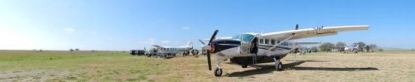 Avion saadani